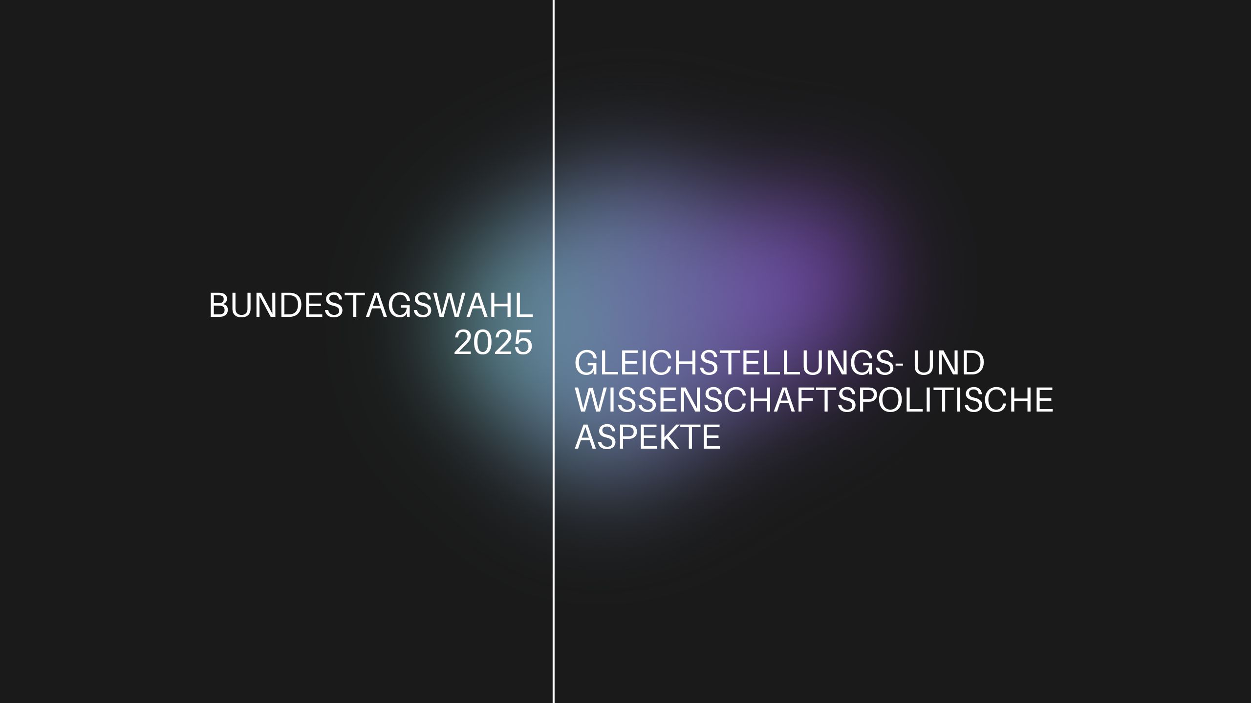 Bundestagswahl 2025